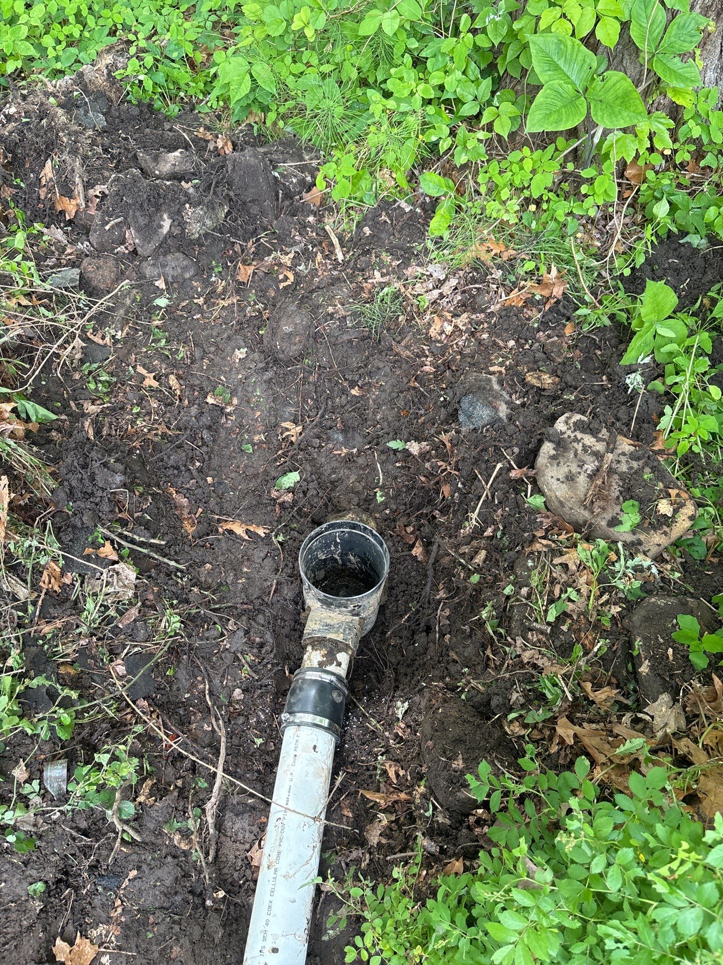 Plumbing, Sump Pump Discharge Line Extension, Stonington CT, TMG Plumbing and Disaster Solutions, plumbing services near mesump pump discharge extension, yard drainage solution, exterior drainage plumbing, sump pump drainage CT