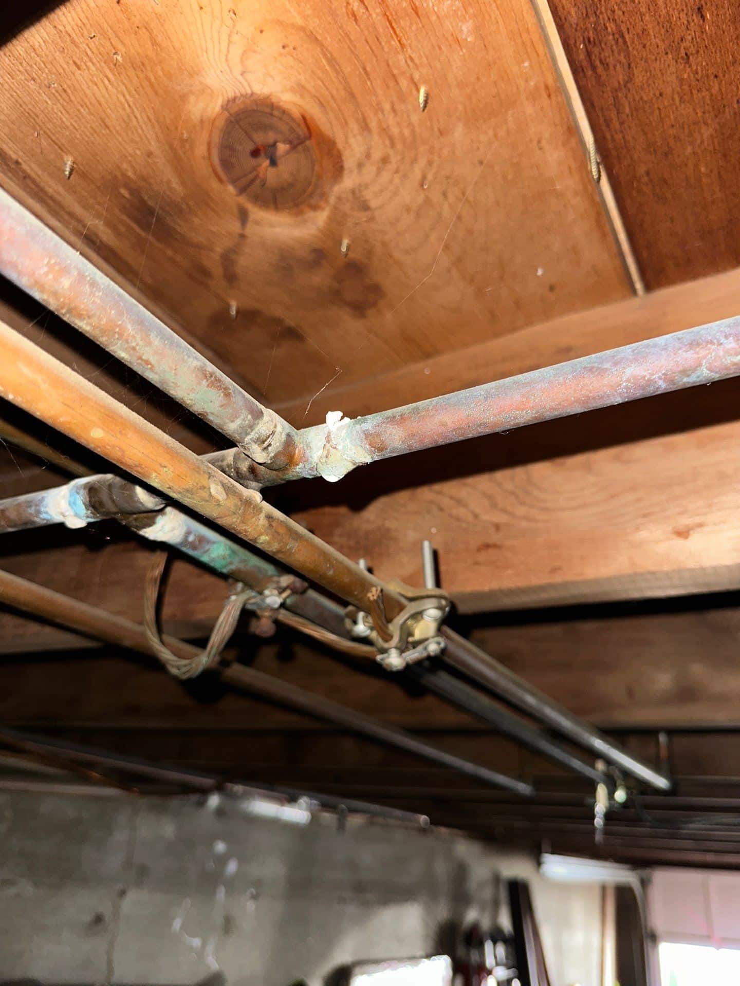Mold Remediation and Water Damage Restoration, Groton CT, TMG Plumbing and Disaster Solutions, plumbing services near me