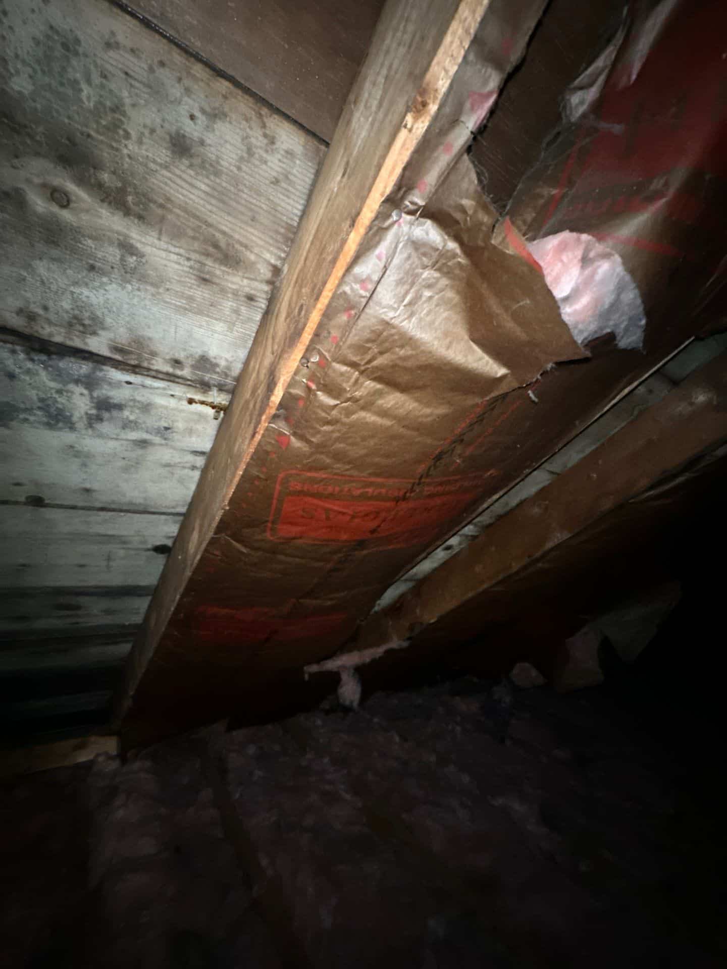 Mold Remediation and Water Damage Restoration, Groton CT, TMG Plumbing and Disaster Solutions, plumbing services near me