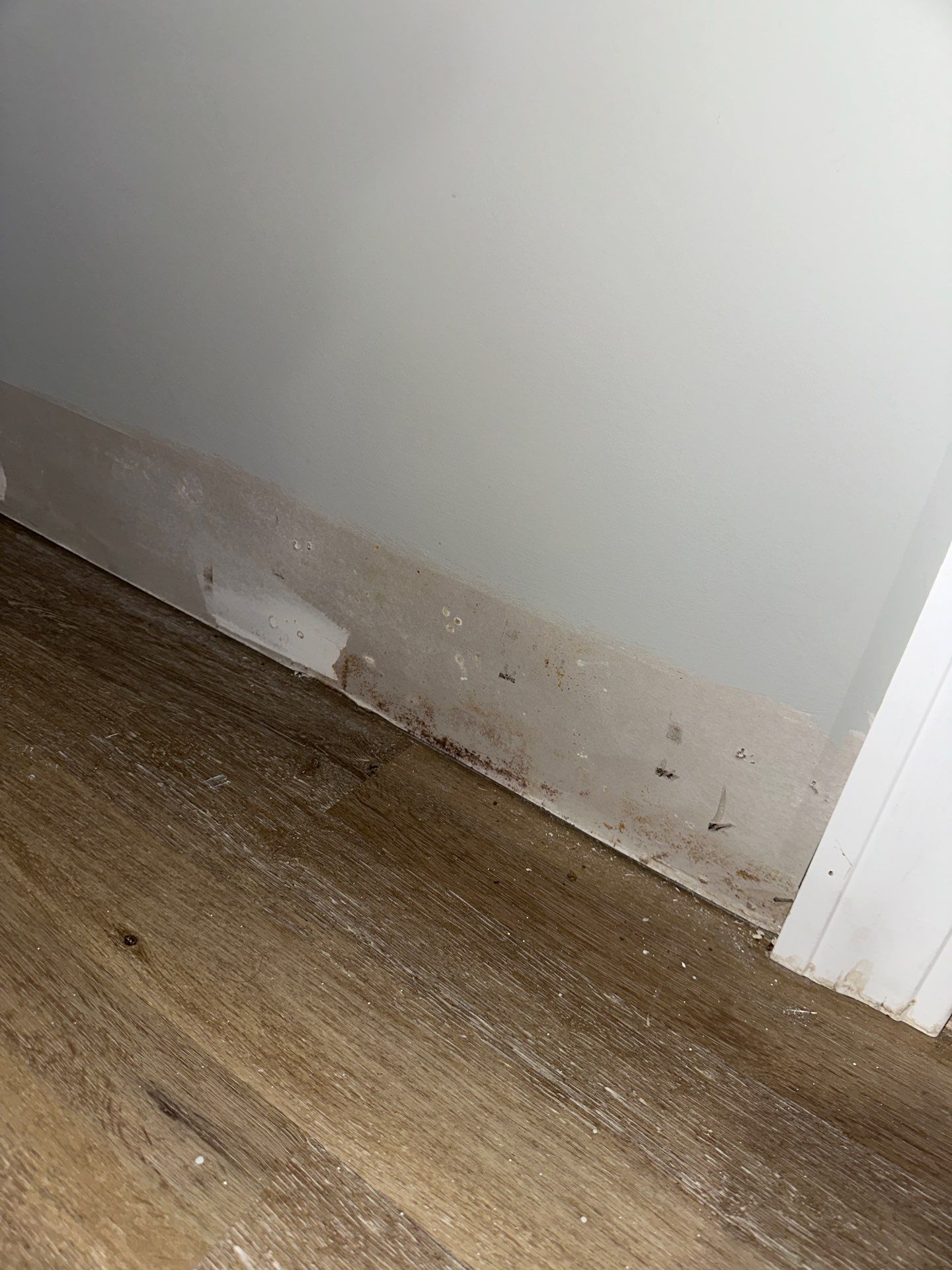 Mold Remediation and Water Damage Restoration, Groton CT, TMG Plumbing and Disaster Solutions, plumbing services near me