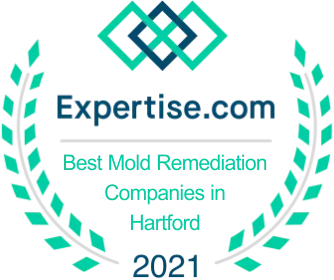 Best Mold Remediation Companies in Hartford 2021 Best Mold Remediation Companies in Hartford 2021