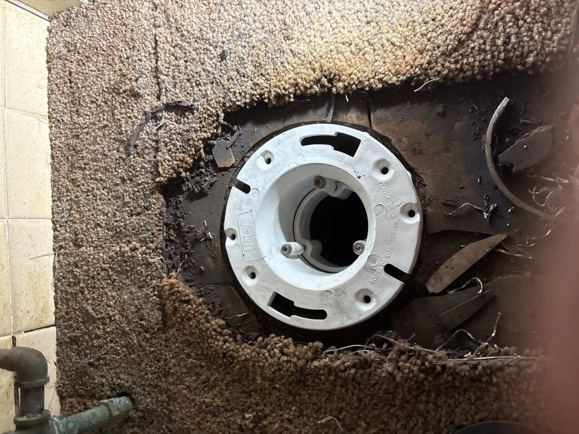 Toilet Flange Repair and New Toilet Installation, Stonington CT