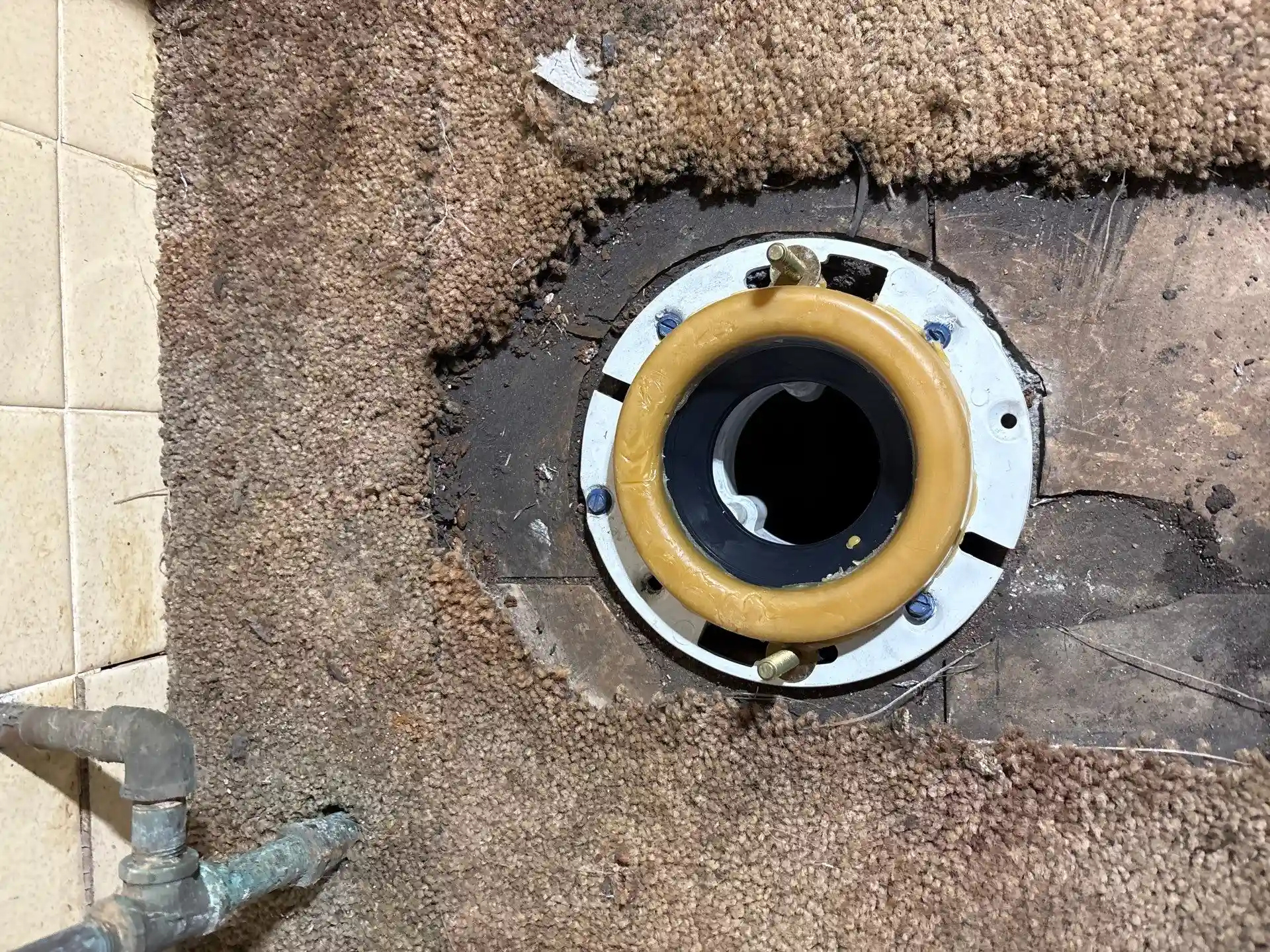 Toilet Flange Repair and New Toilet Installation, Stonington CT