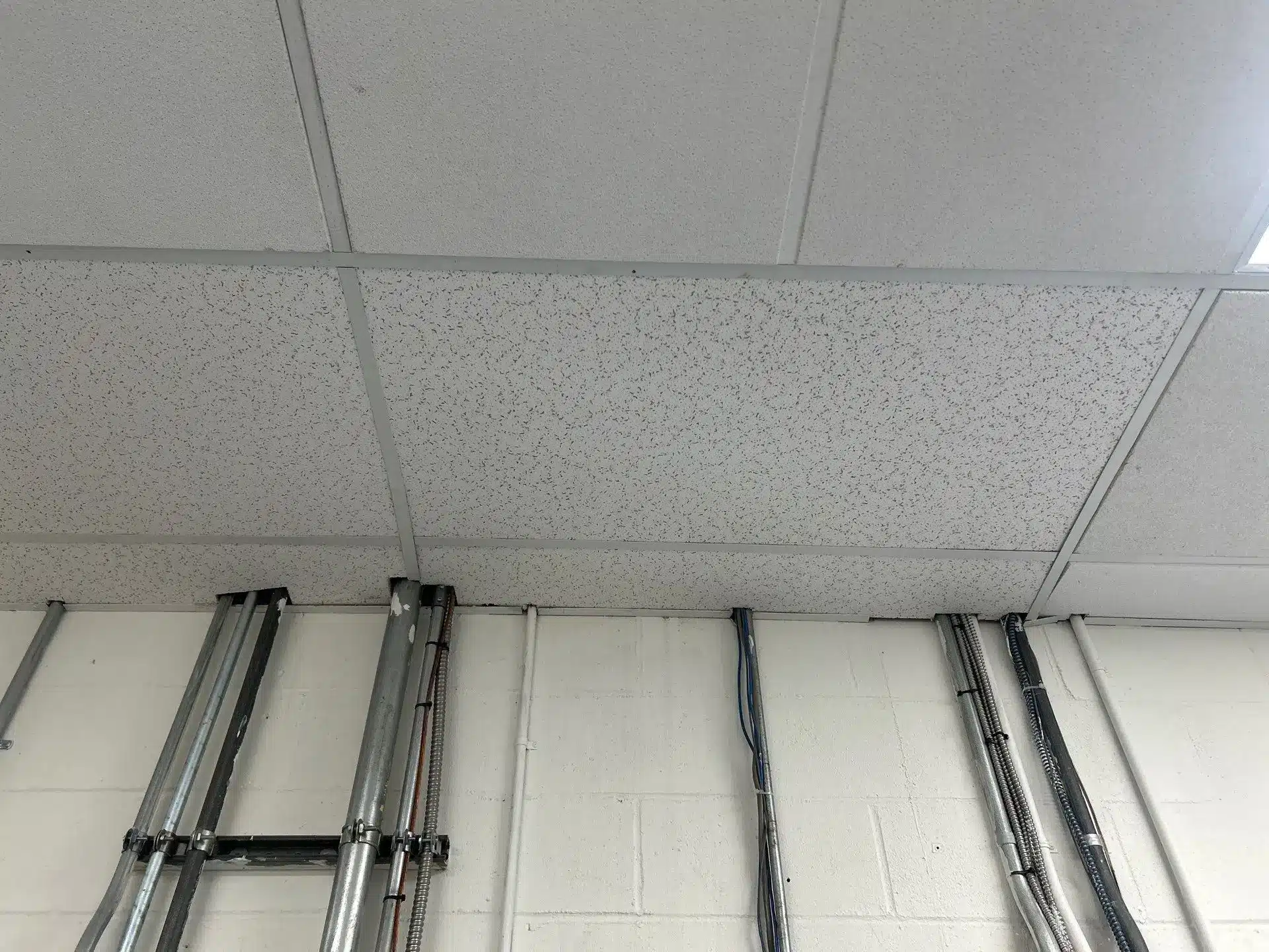 Commercial Plumbing and Mold Remediation, Groton CT TMG Companies LLC