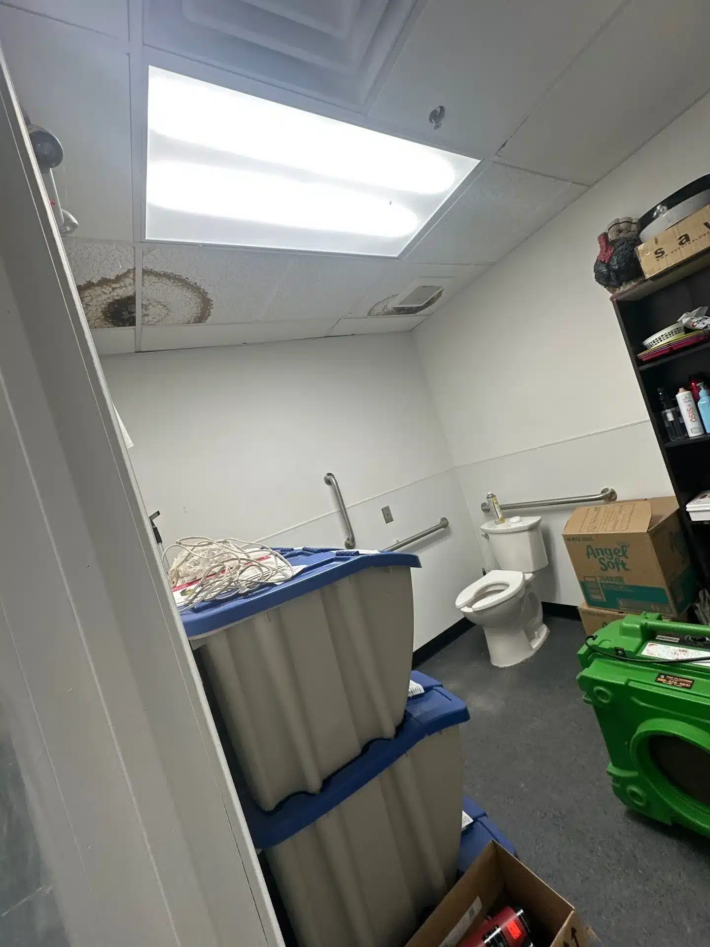 Commercial Plumbing and Mold Remediation, Groton CT TMG Companies LLC