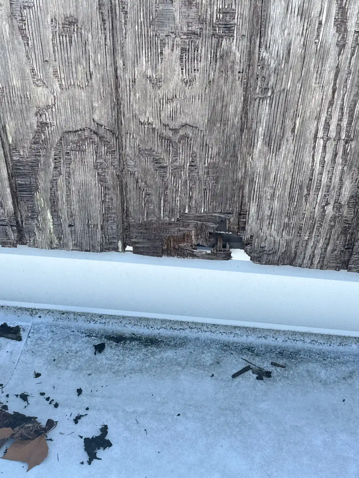 Commercial Plumbing and Mold Remediation, Groton CT TMG Companies LLC